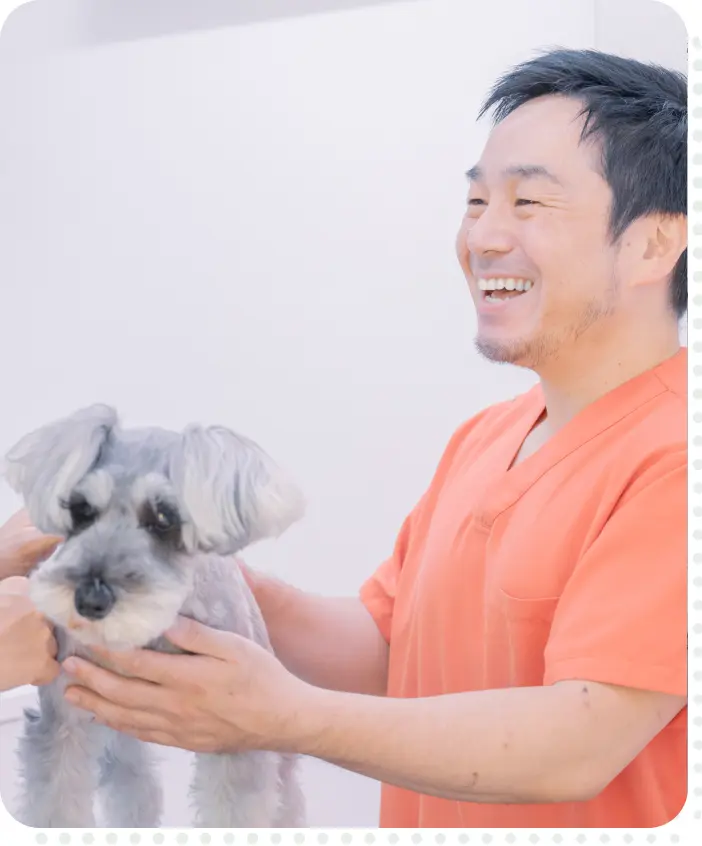 獣医師 診察風景