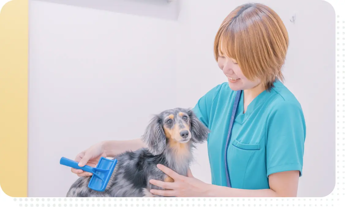 トリマー トリミング風景