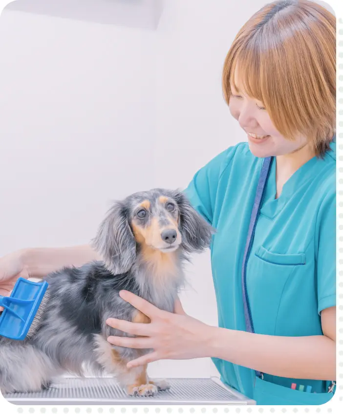 トリマー トリミング風景