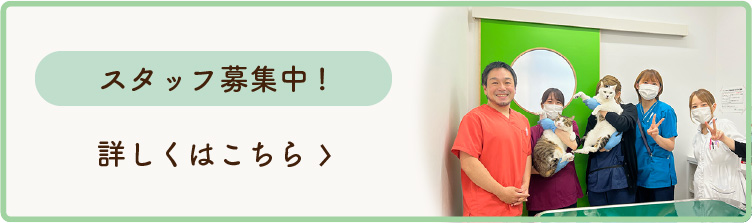 採用情報スタッフバナー